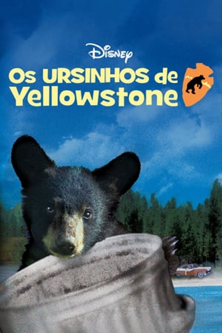 Movie Yellowstone Cubs