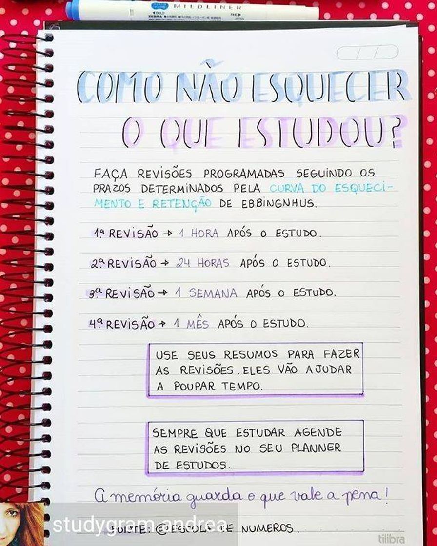 Social Para lembrar