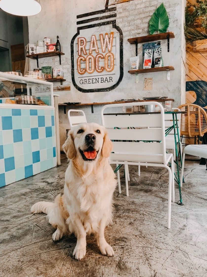 Rawcoco Green Bar