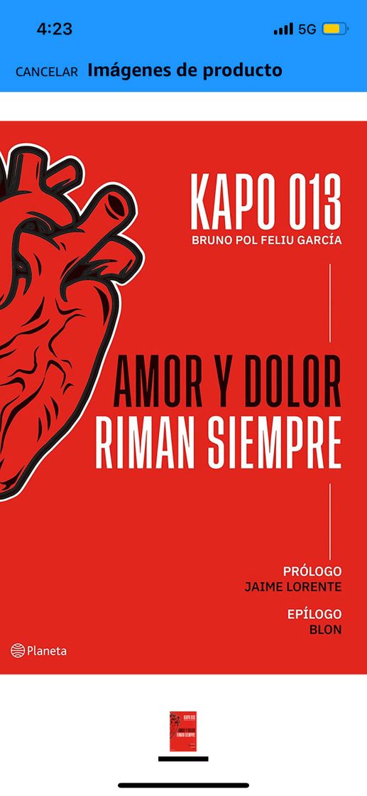 Libro Amor y dolor riman siempre 