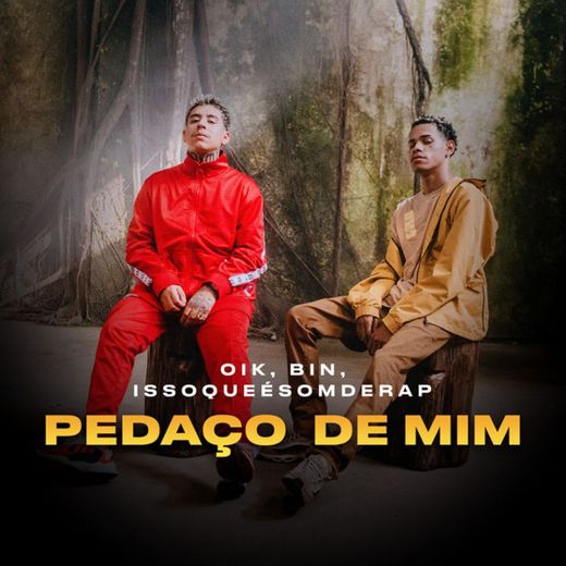 Pedaço de Mim