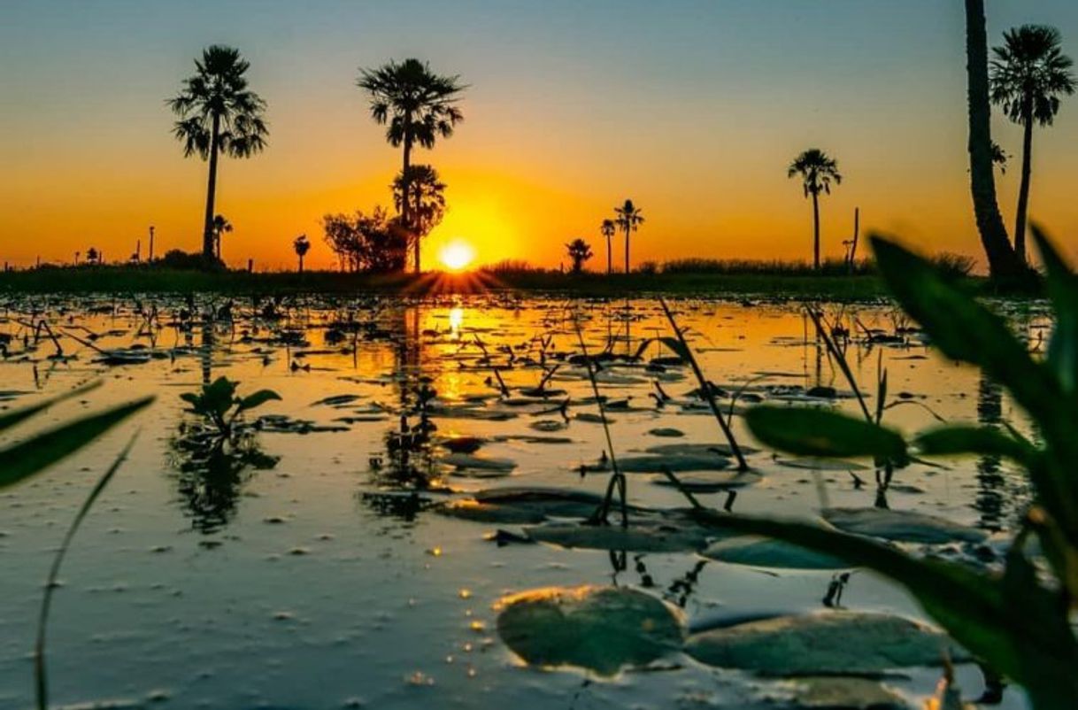 Places Esteros del Iberá