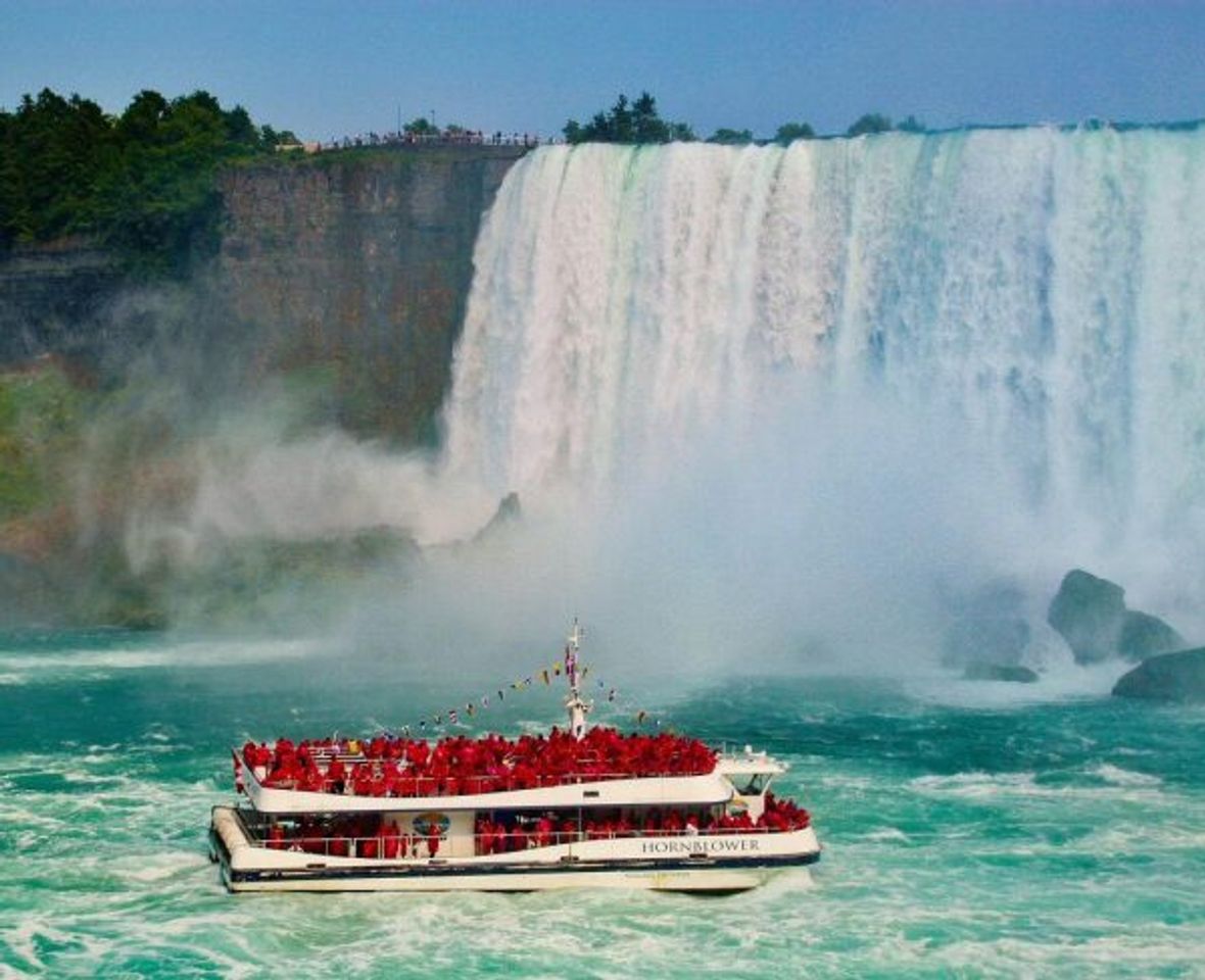 Lugar Cataratas Del Niagara