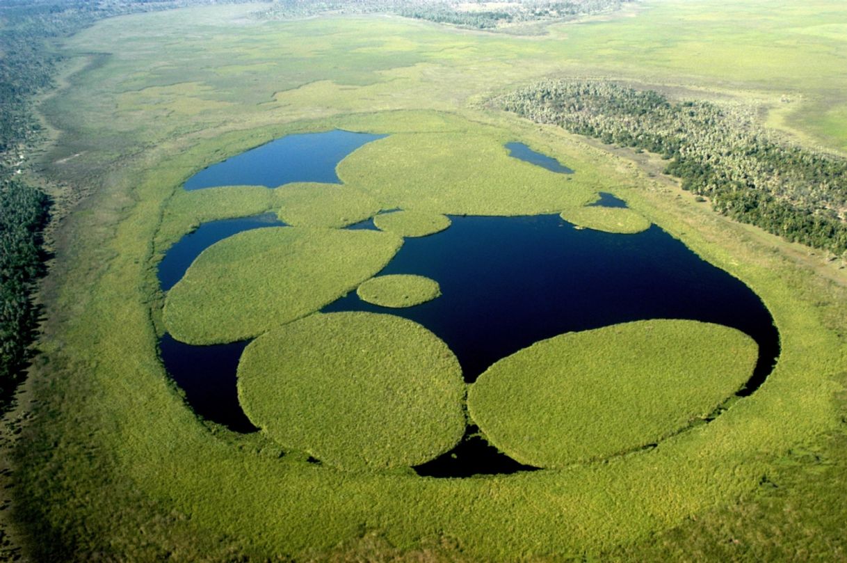 Lugar Esteros del Iberá