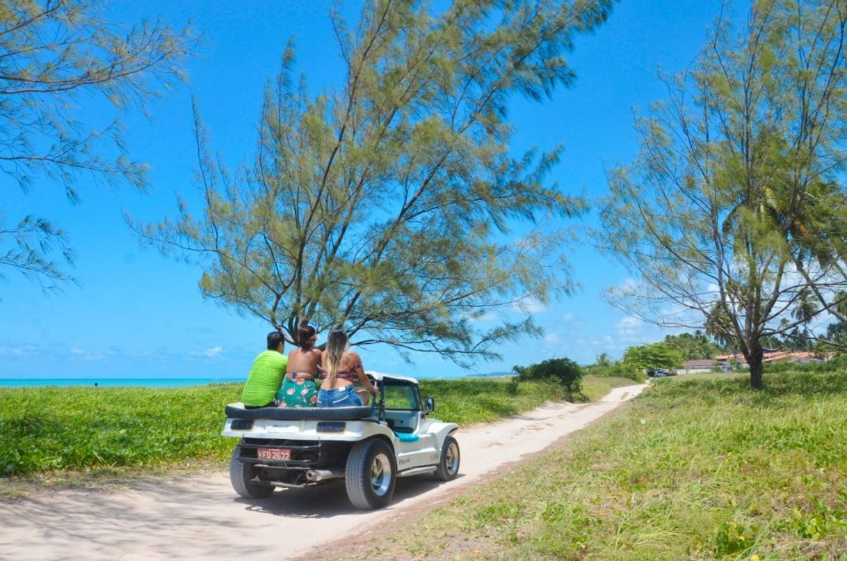 Lugares Passeio de Buggy em Maragogi