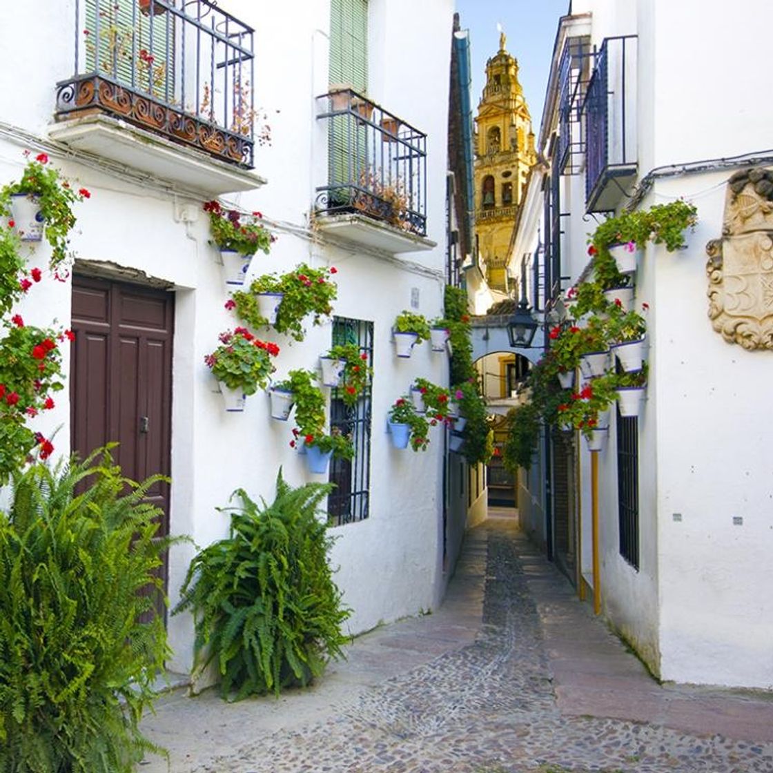 Córdoba