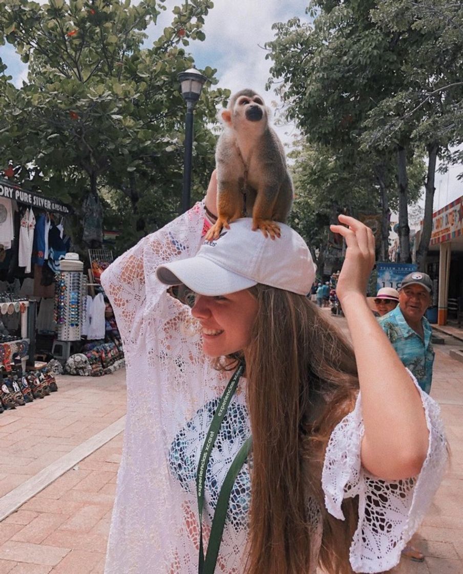 Lugar Quintana Roo