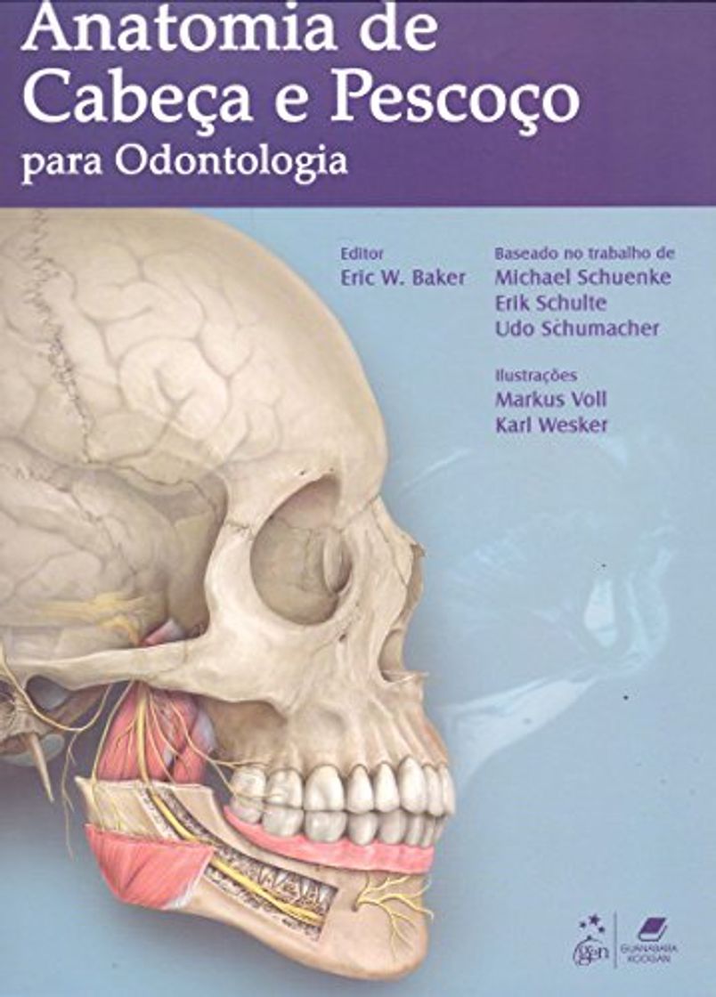 Libro Anatomia de Cabeça e Pescoço Para Odontologia