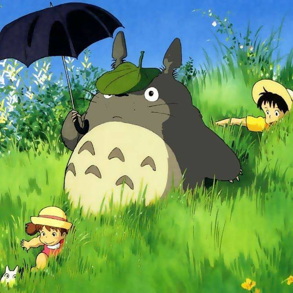 Social Mi vecino Totoro