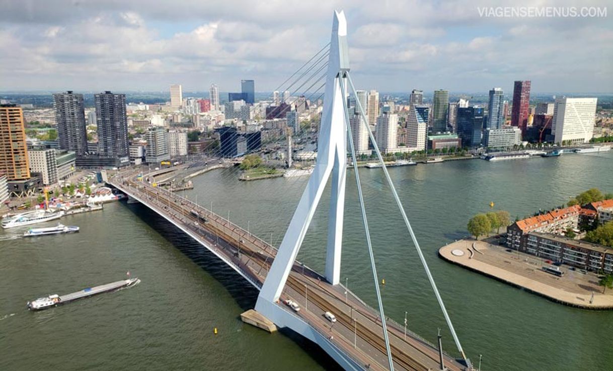 Lugar Rotterdam