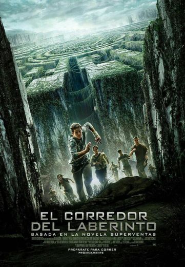 The Maze Runner