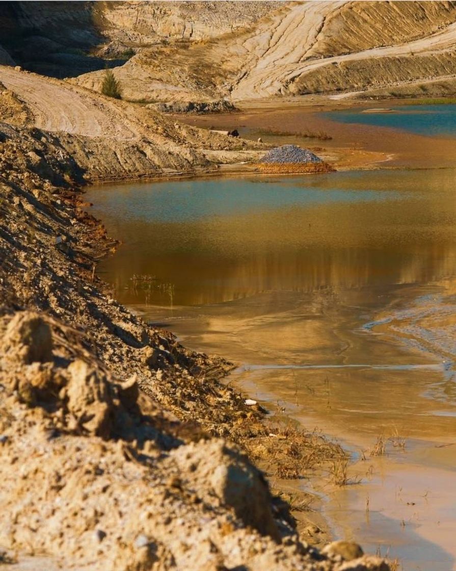 Social 🧘🏻‍♀️