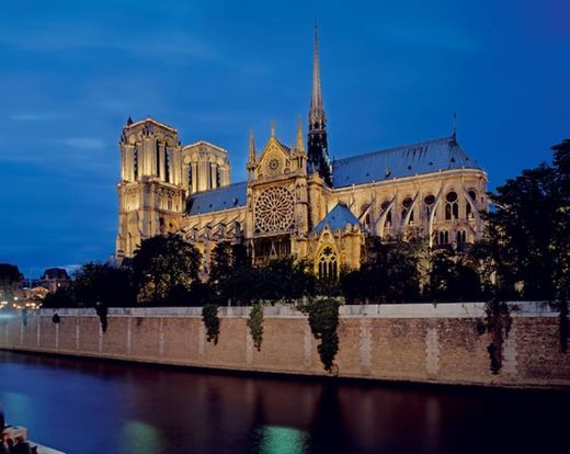 Catedral de Notre Dame