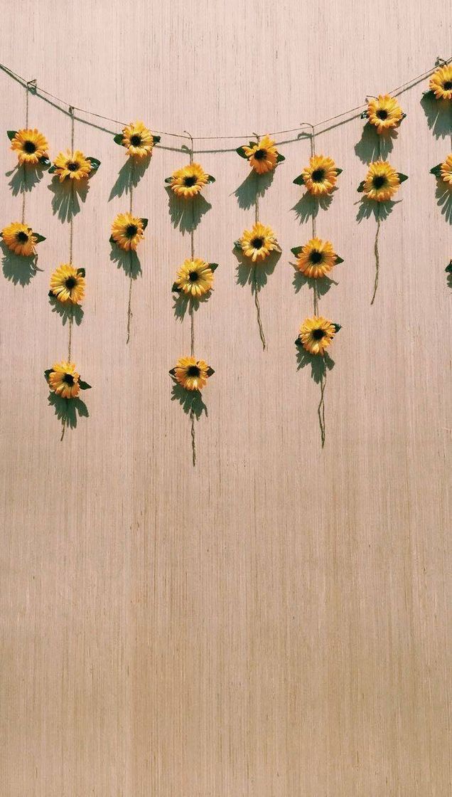 Social Inspirações 🎨