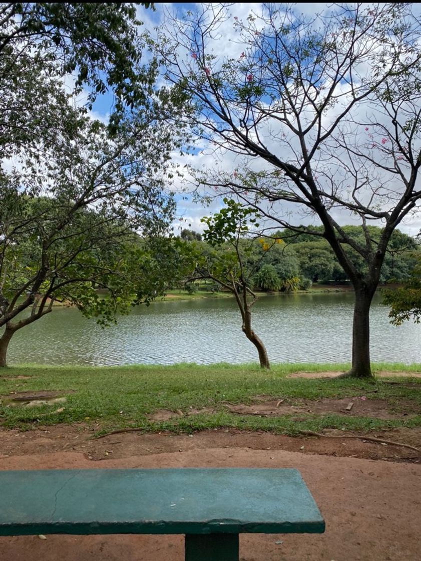 Lugar Parque Ibirapuera