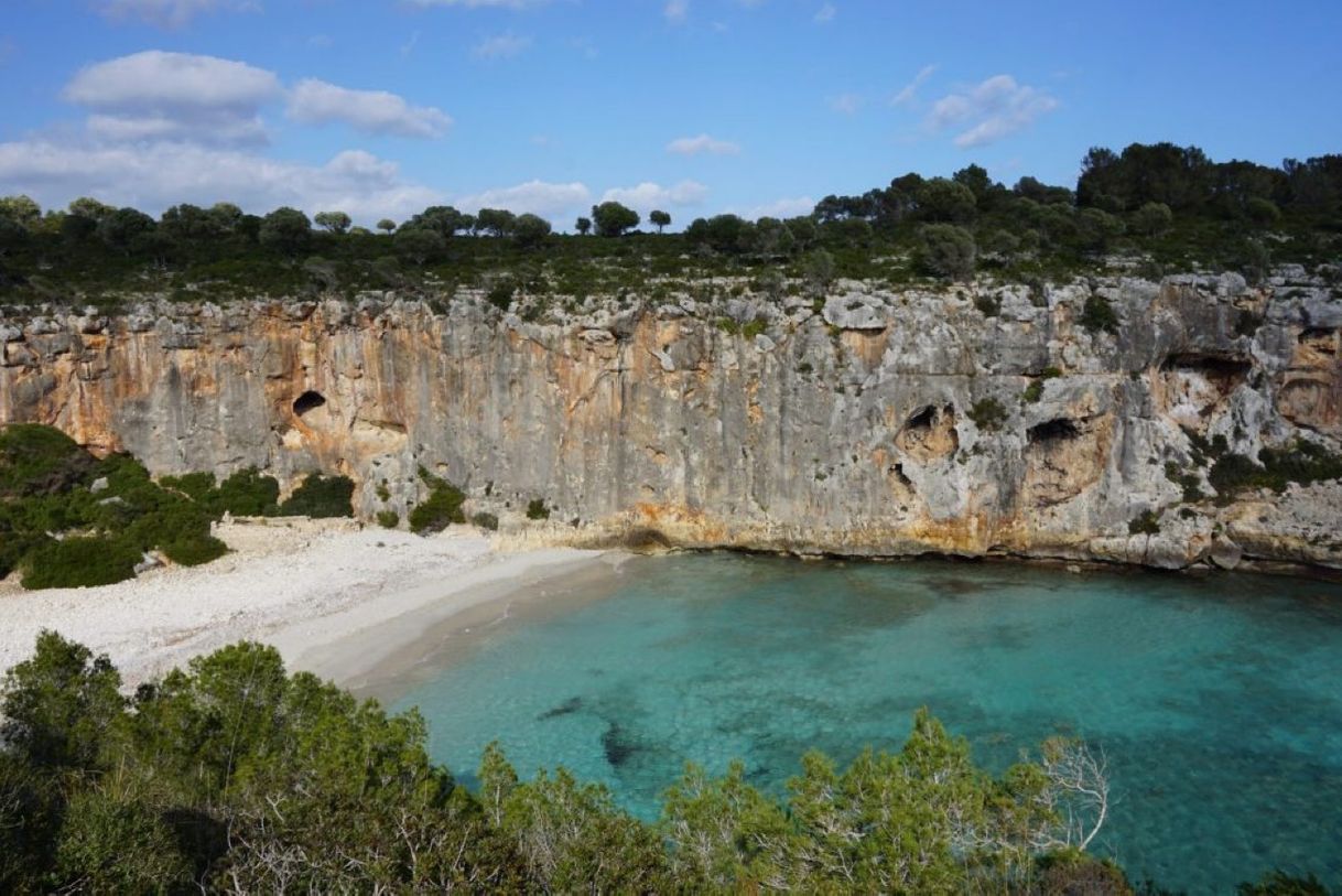 Place Cala Virgili