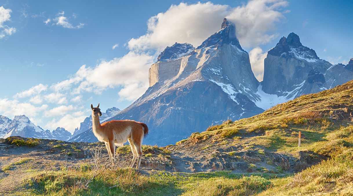 Restaurantes Chile