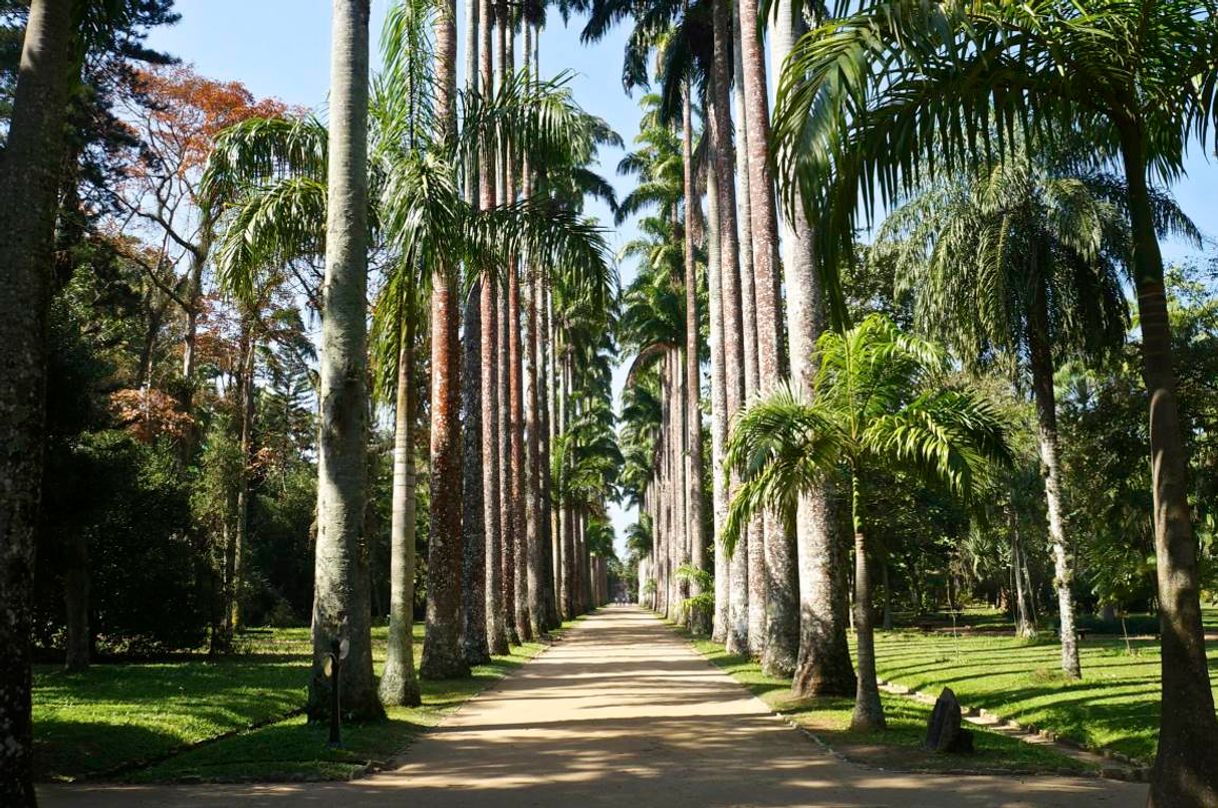 Lugar Jardim Botânico