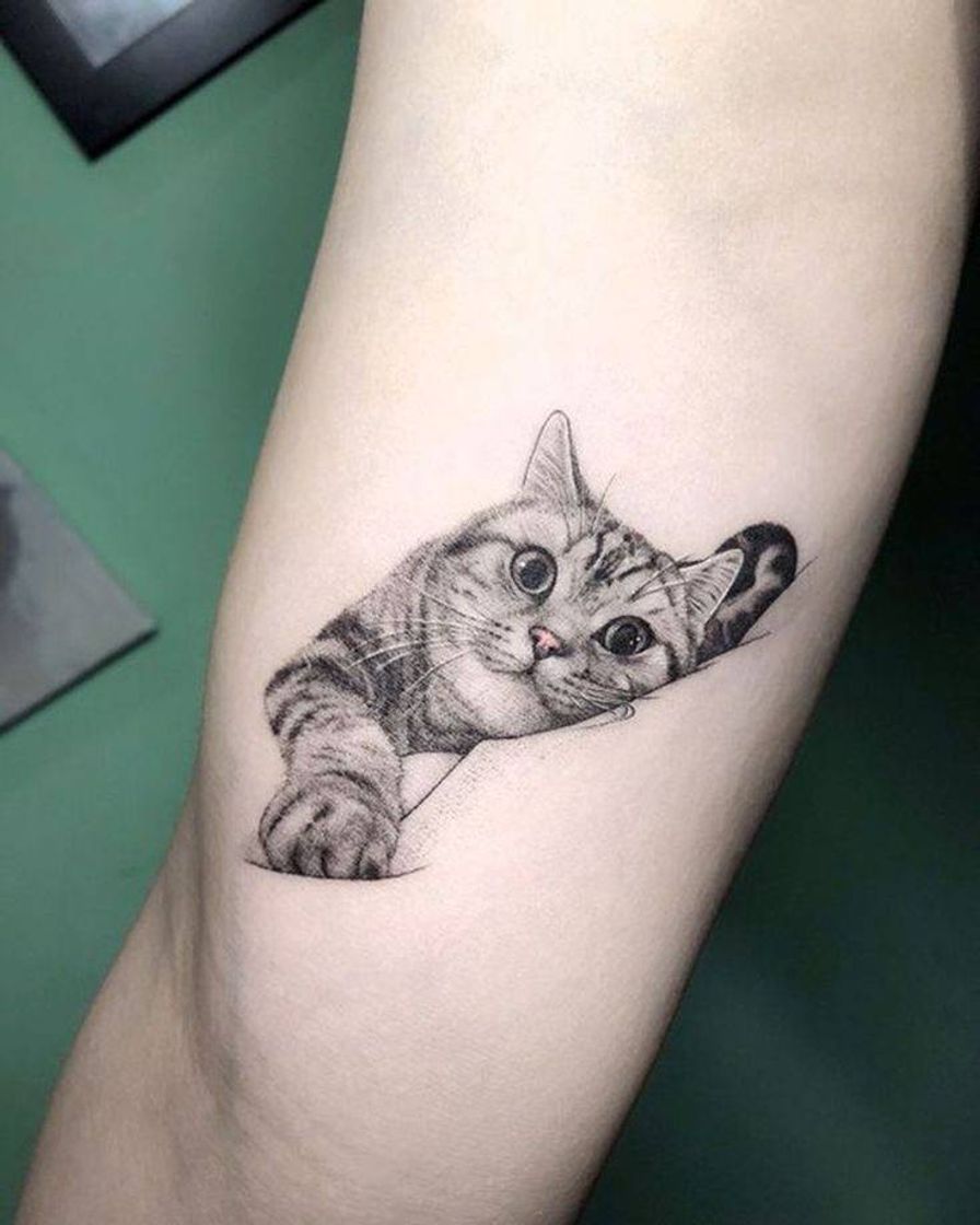 Moda Tatuagens de gatinhos