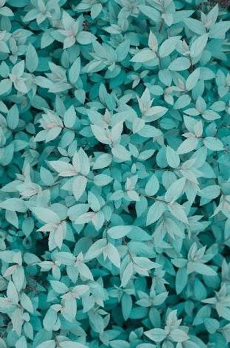Social Wallpaper azul 💙