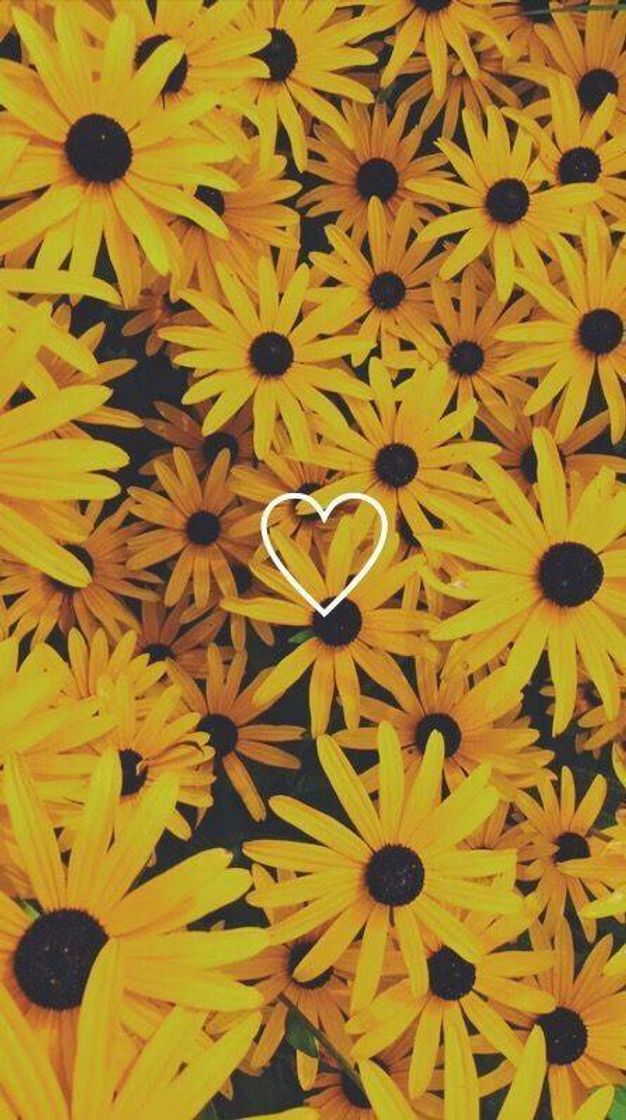 Fashion Wallpaper feliz e florido 🌻💛