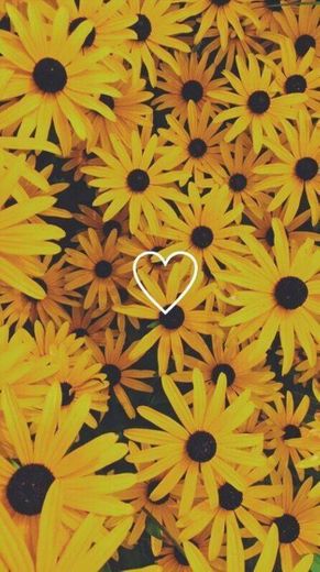 Wallpaper feliz e florido 🌻💛