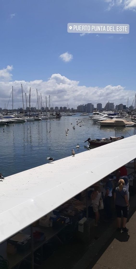 Place Puerto de Punta del Este