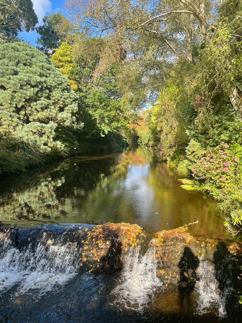 Place Mount Usher Gardens