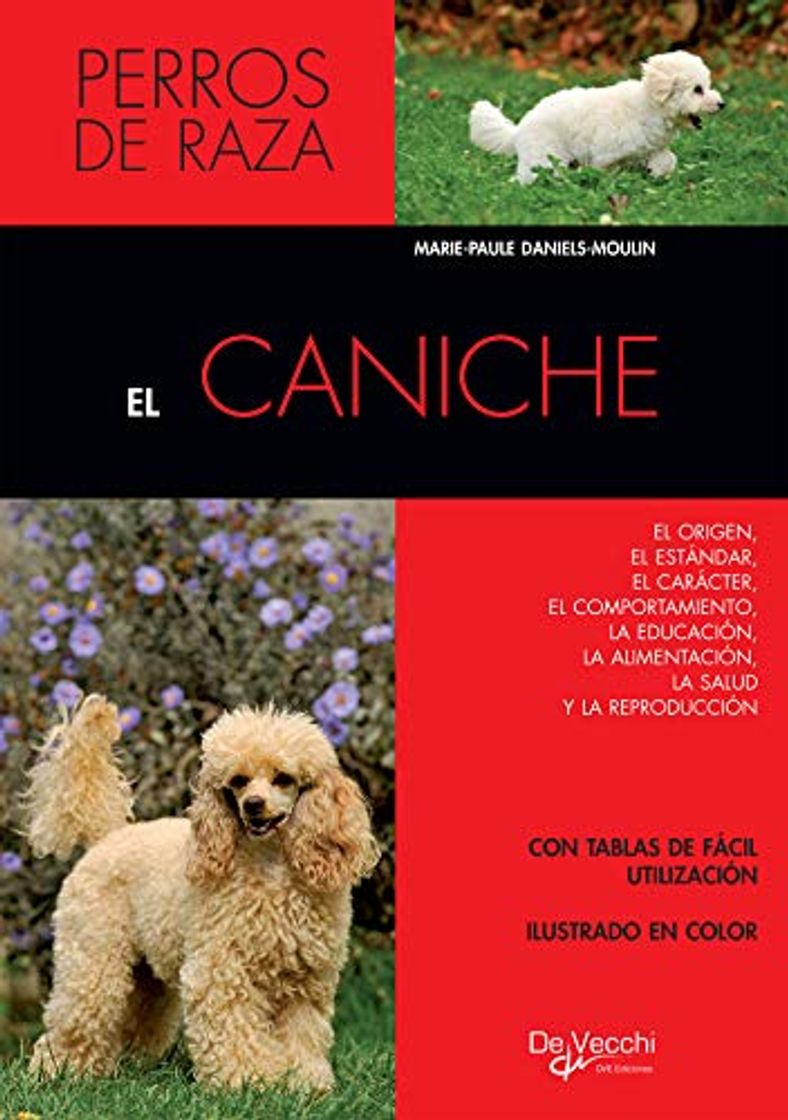 Book El caniche