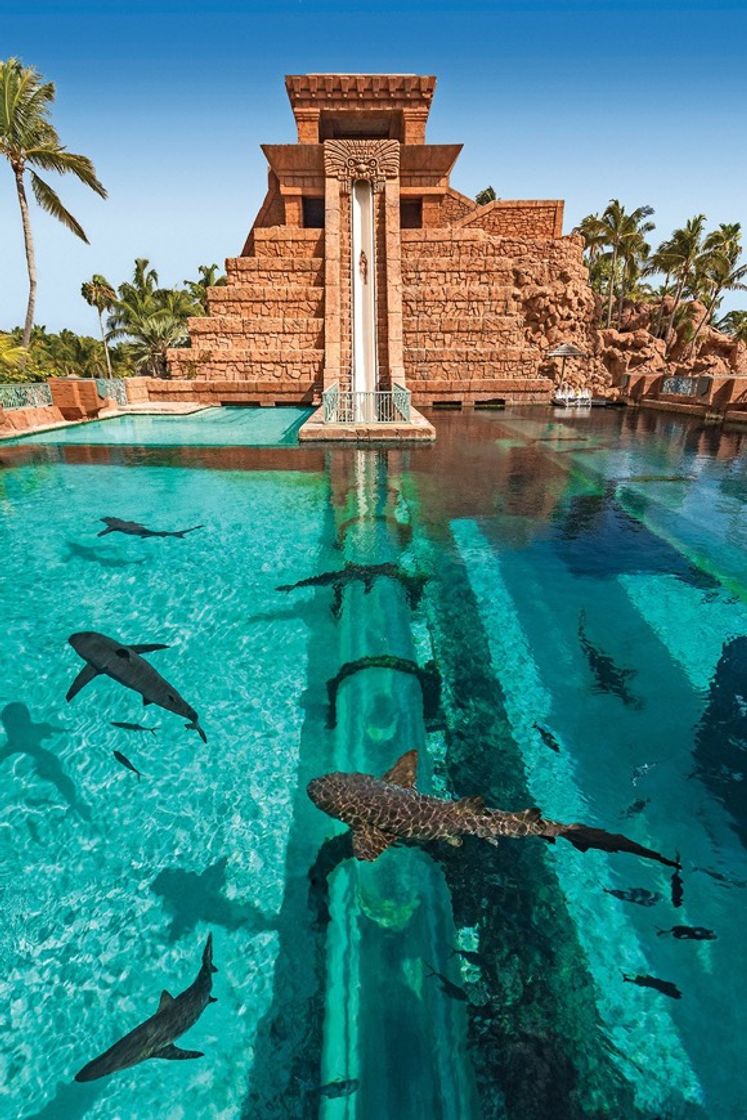 Place Atlantis Bahamas