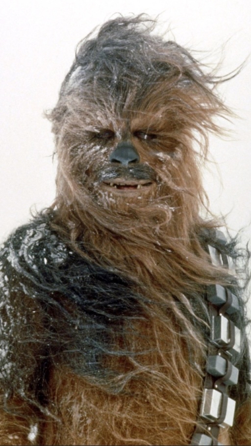 Product Chewbacca