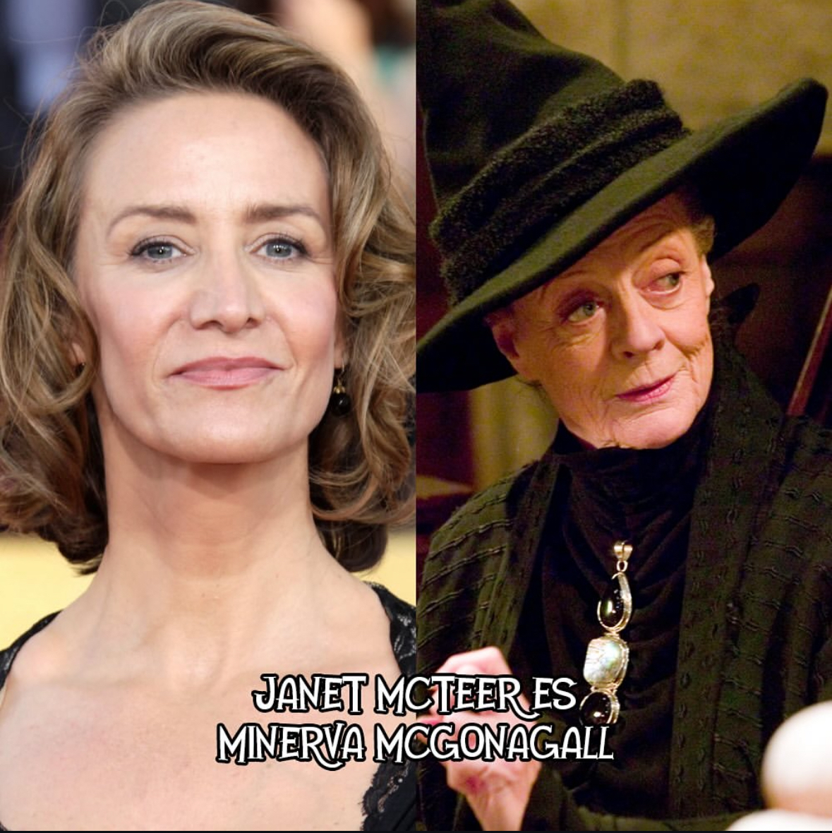 Social Minerva McGonagall - Janet McTeer