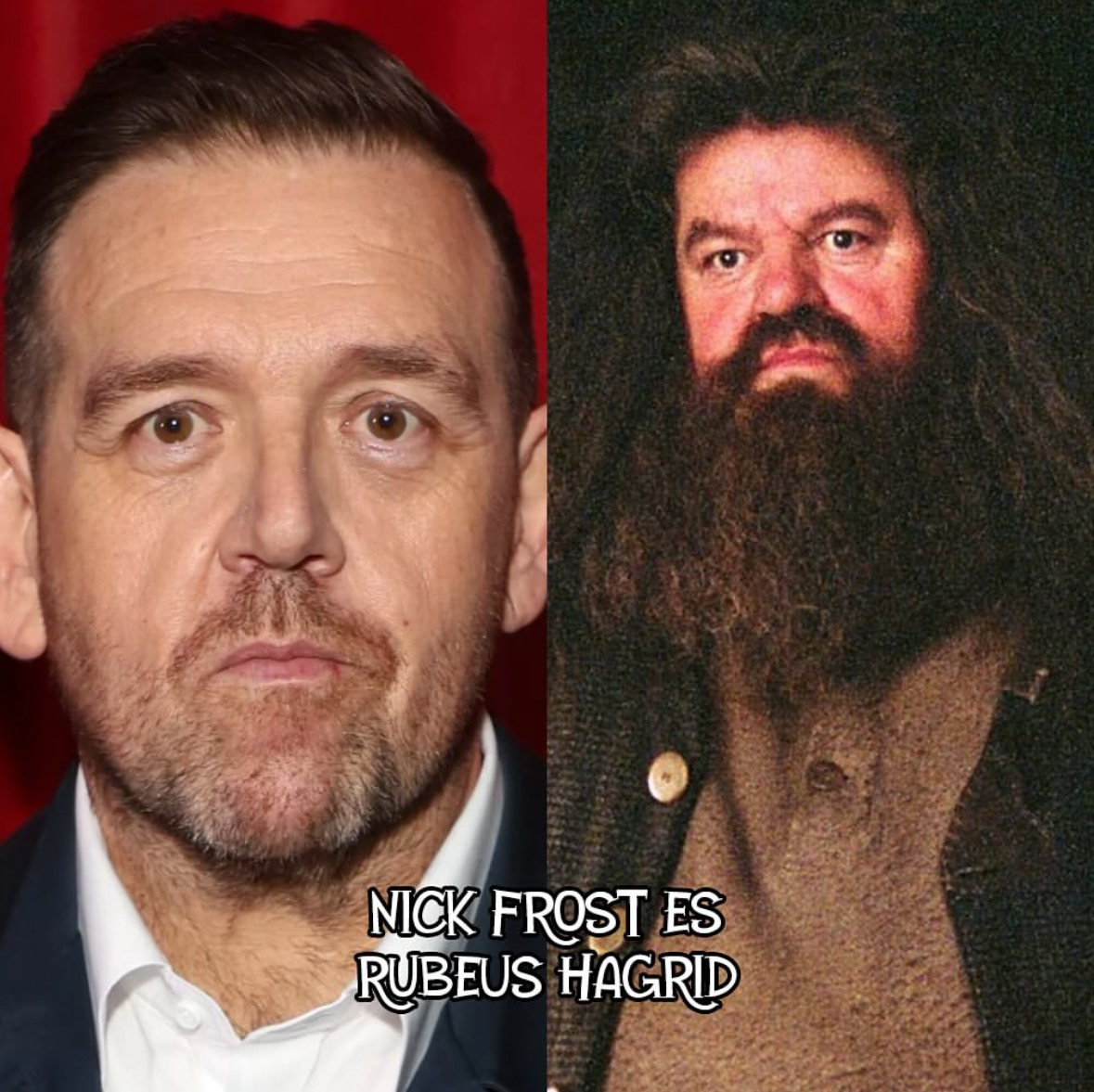 Social Rubeus Hagrid - Nick Frost