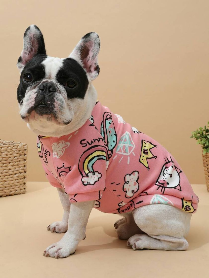 Moda Roupa para pet 🐶