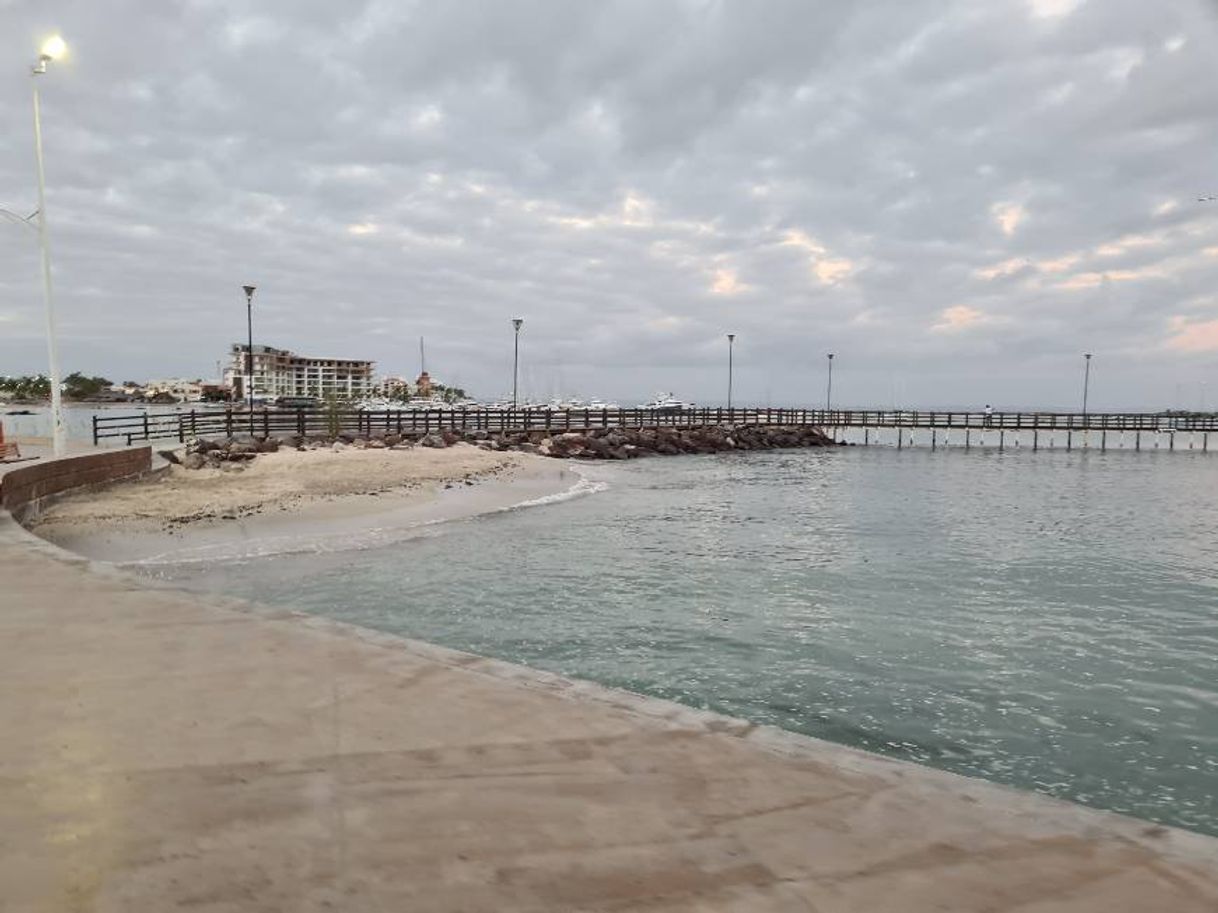 Lugar Malecon La Paz, B.C.S