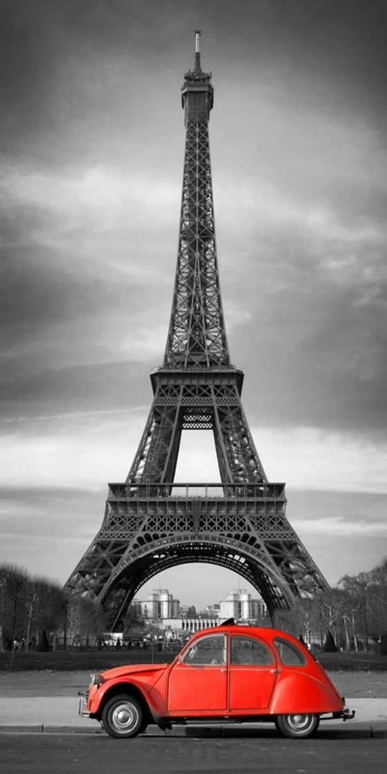 Social WALLPAPER PARIS