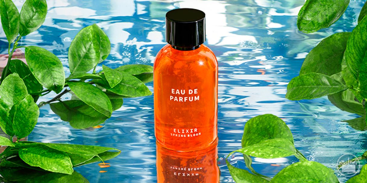 Social Elixir Spring Bloom