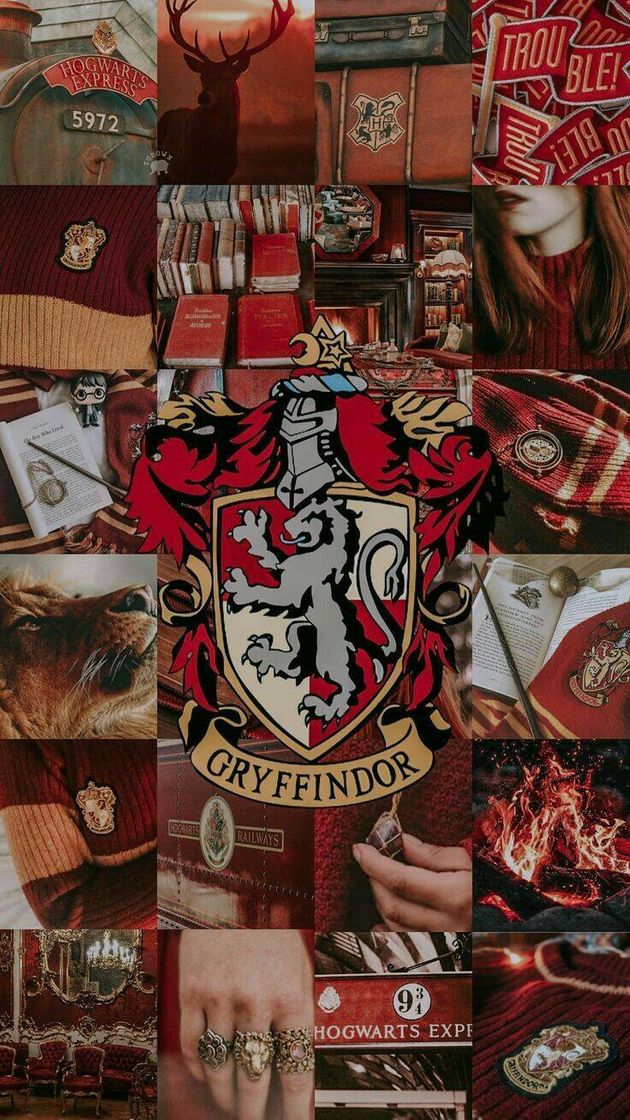 Moda Gryffindor 🦁