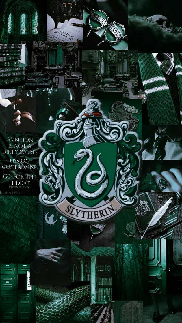 Moda Slytherin 💚