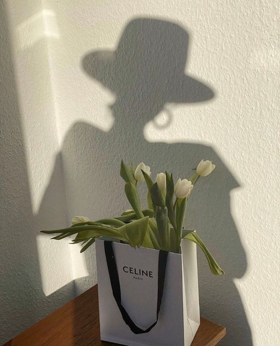 Social Celine