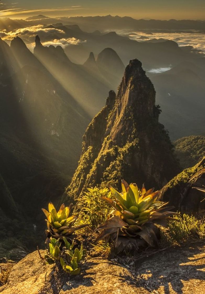 Lugar Serra dos Órgãos