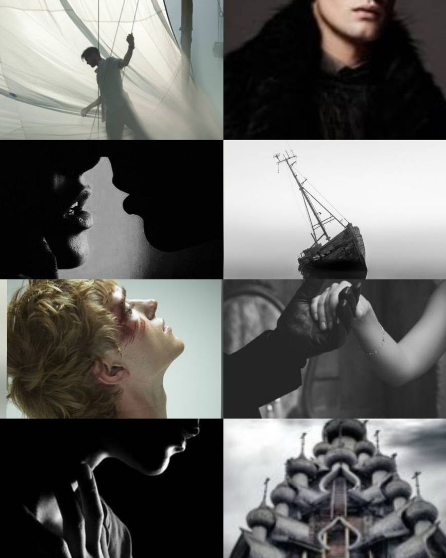 Libro Siege and Storm