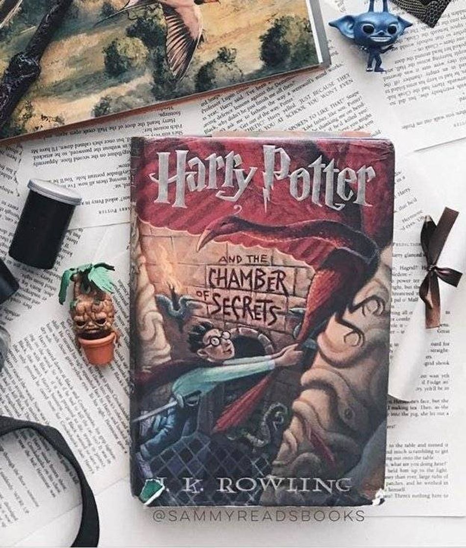 Libro HARRY POTTER Y LA CAMARA SECRETA