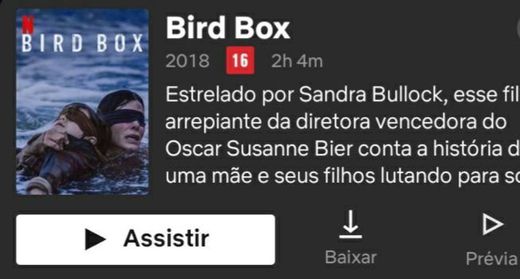 Bird Box 