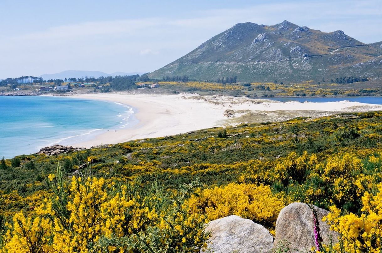 Place Galicia