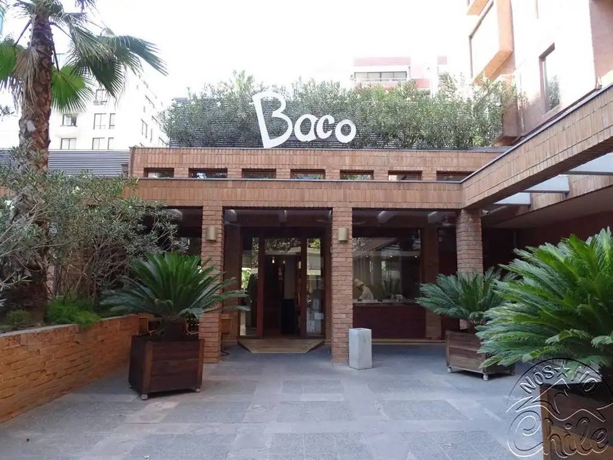 Restaurantes Baco