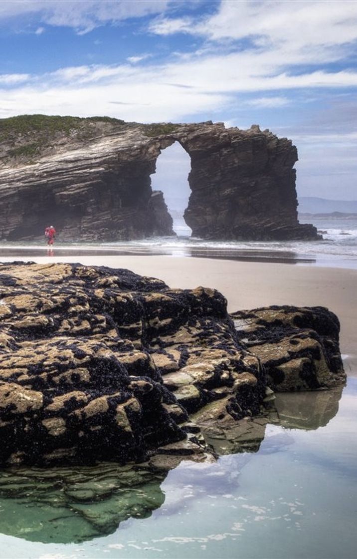 Place Galicia