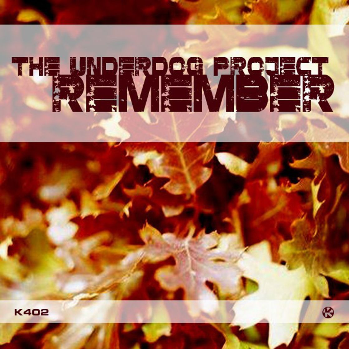 Canción Remember (Original Mix)