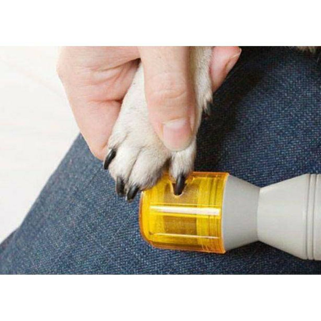 Fashion Lixa Pet Eletrica Para Unha de Caes Cachorros Gatos. 