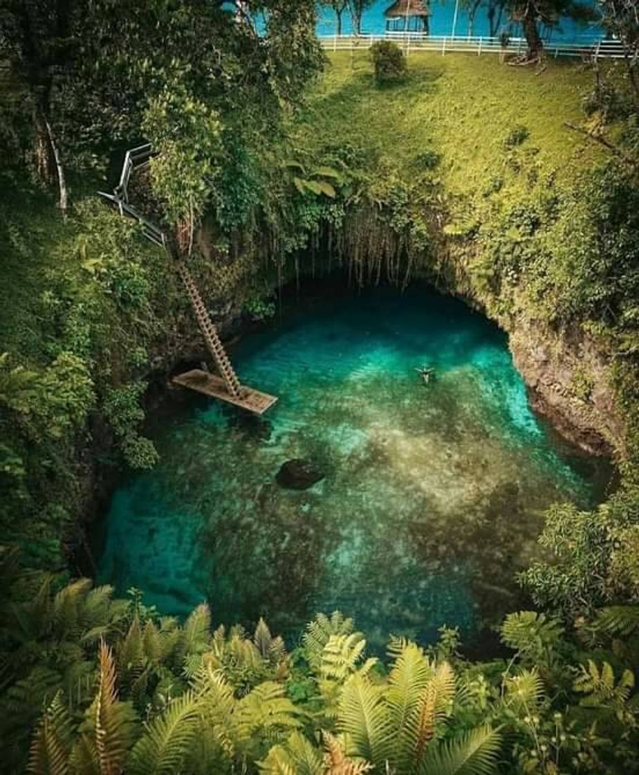 Moda Apia - Samoa